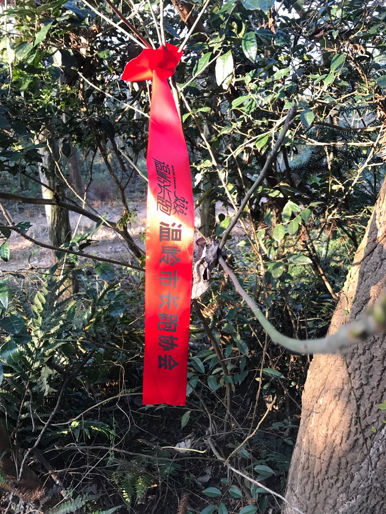 �����ж��׼�ԽҰ��