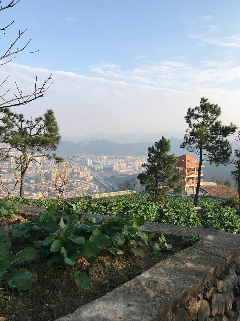 �����ж��׼�ԽҰ��