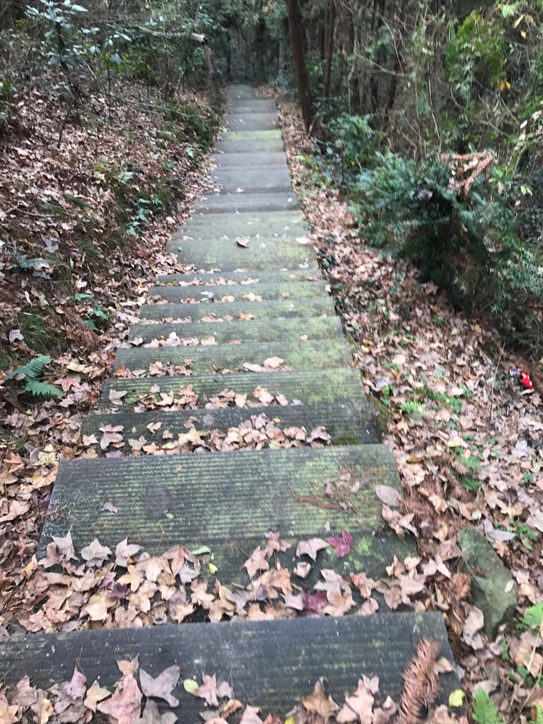 �����ж��׼�ԽҰ��