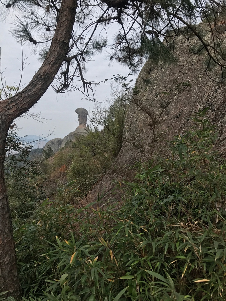 �����ж��׼�ԽҰ��