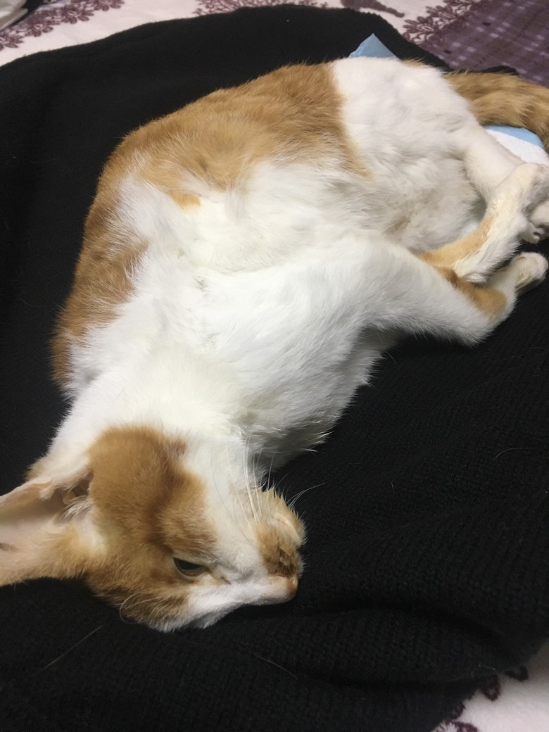 �ع⽷������ҵ�ֵľ��γ���ҽԺ���޵����ܣ���ҽ����ֻ����