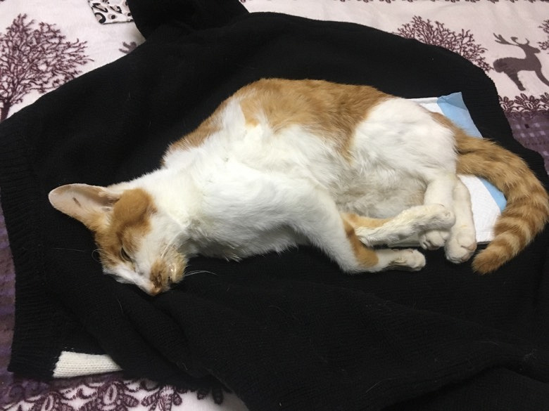 �ع⽷������ҵ�ֵľ��γ���ҽԺ���޵����ܣ���ҽ����ֻ����