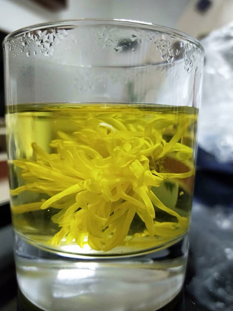 菊花茶一朵一杯金丝皇菊60大朵5元