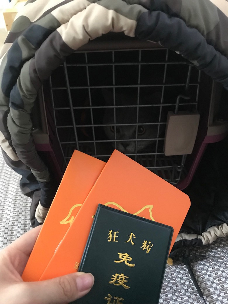 ��ַ̨�ݽ��� ������ϵ��