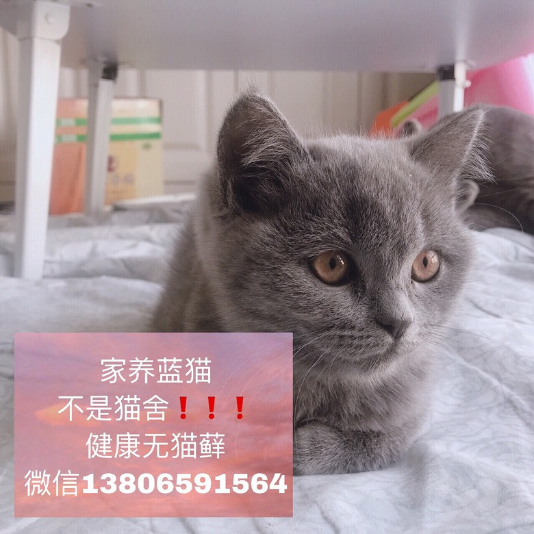 ��ַ̨�ݽ��� ������ϵ��