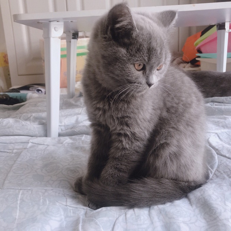 ̨�ݽ���