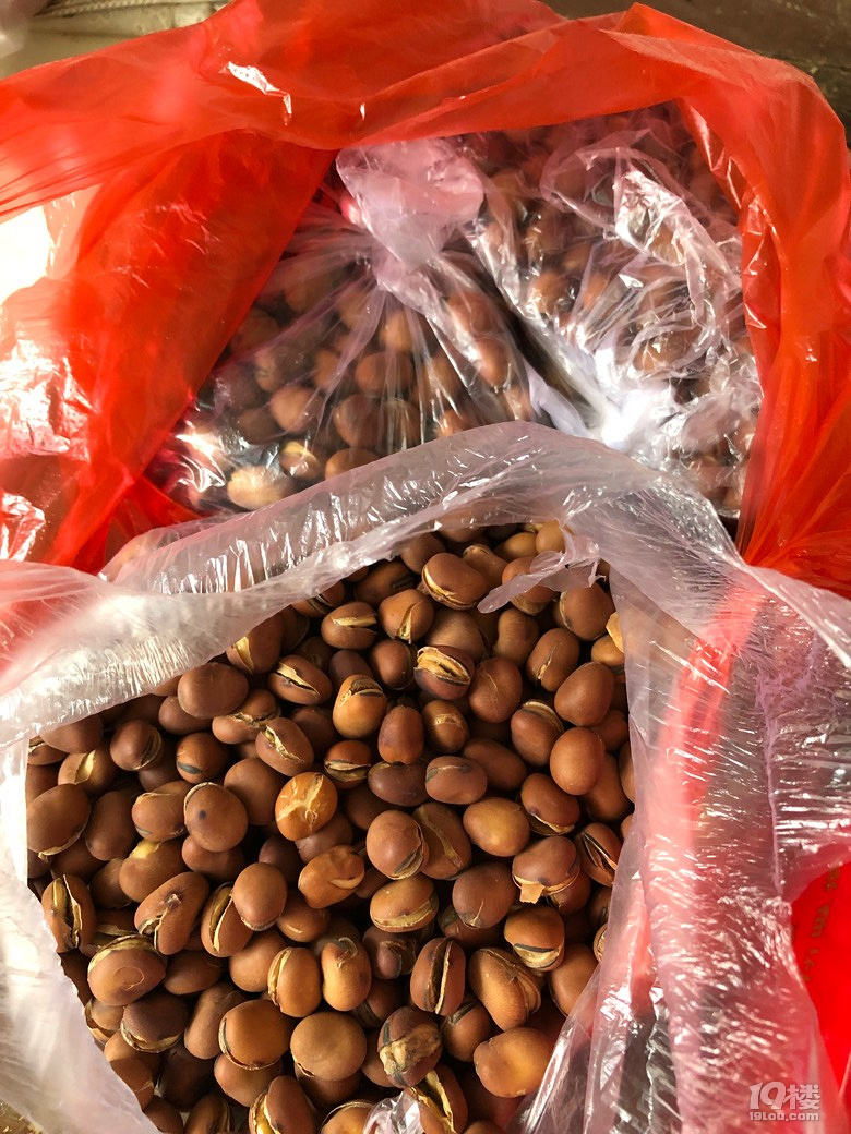 岙环炒豆我家的战友送来的