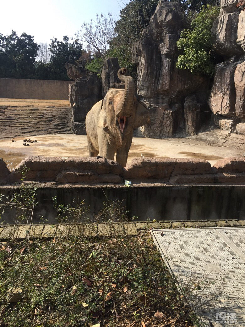 杭州野生動物園了