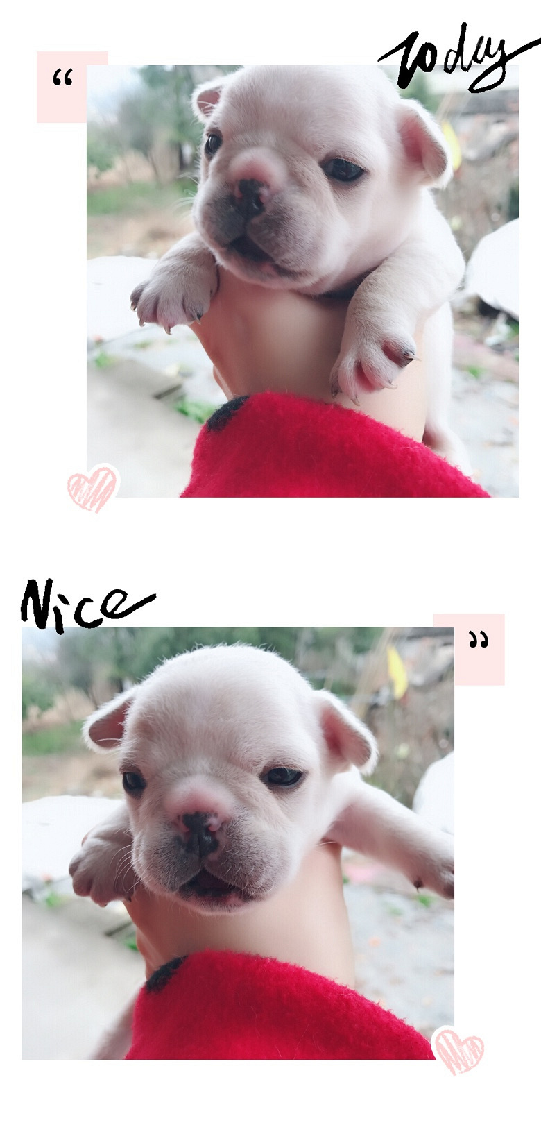 ���з�ţ����һ�� ����Ȥ��ϵ��