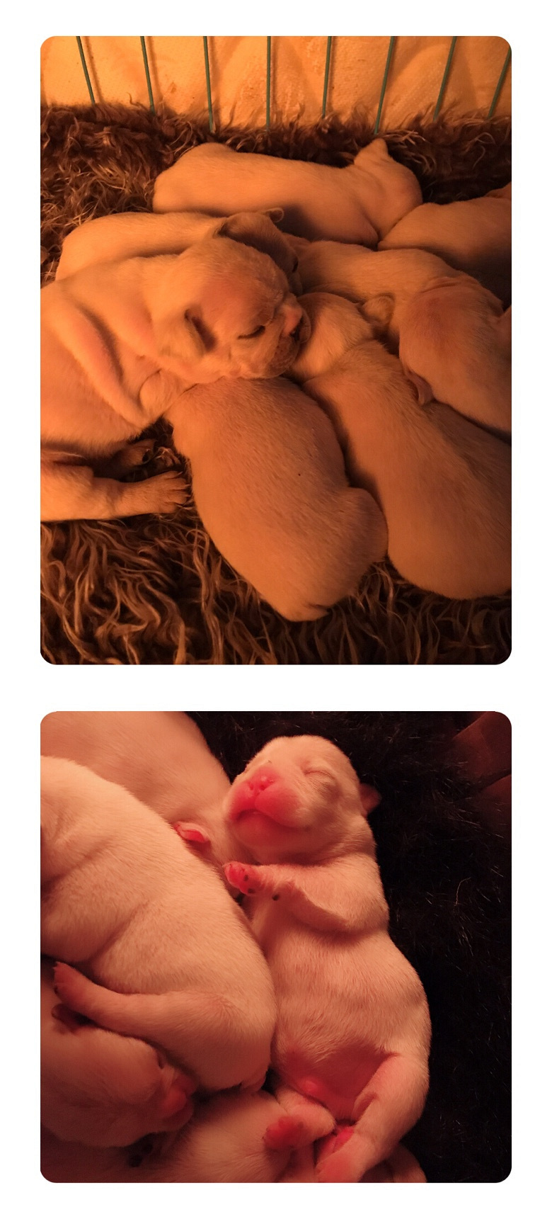 ���з�ţ����һ�� ����Ȥ��ϵ��