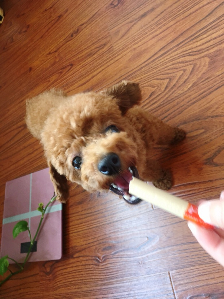 �г��������