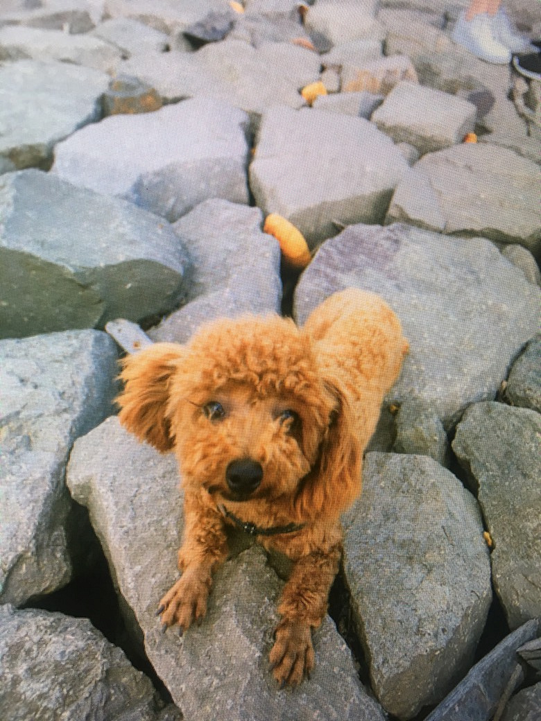 �г��������