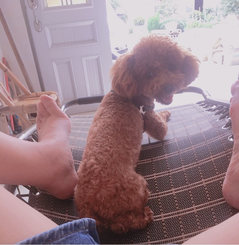 �г��������