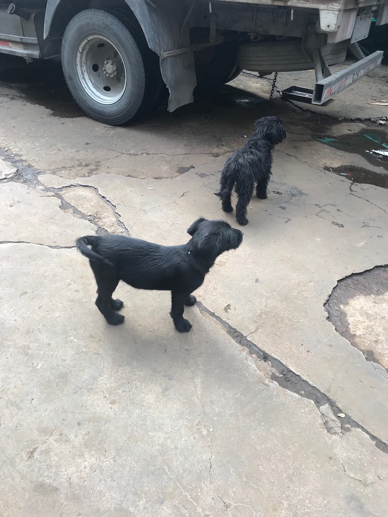 �ڹ���������Ĵ��������