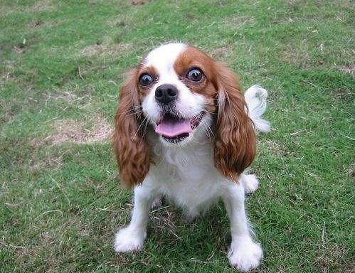 ������۾�Ʒ��Ȯ