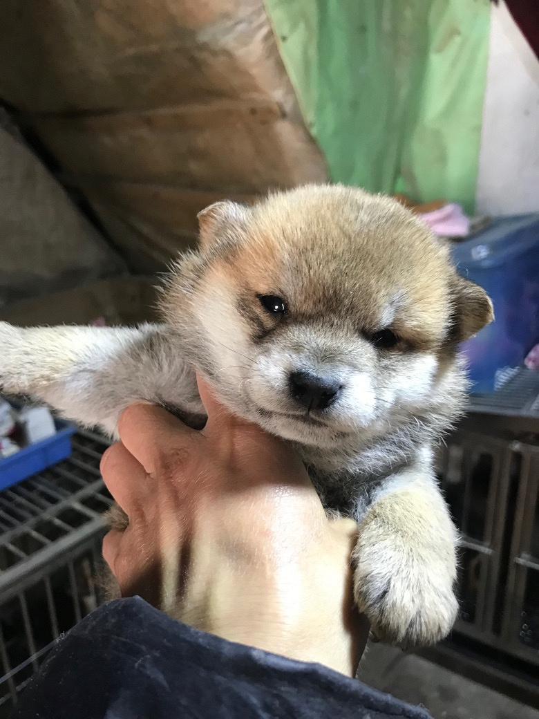 ������۾�Ʒ��Ȯ