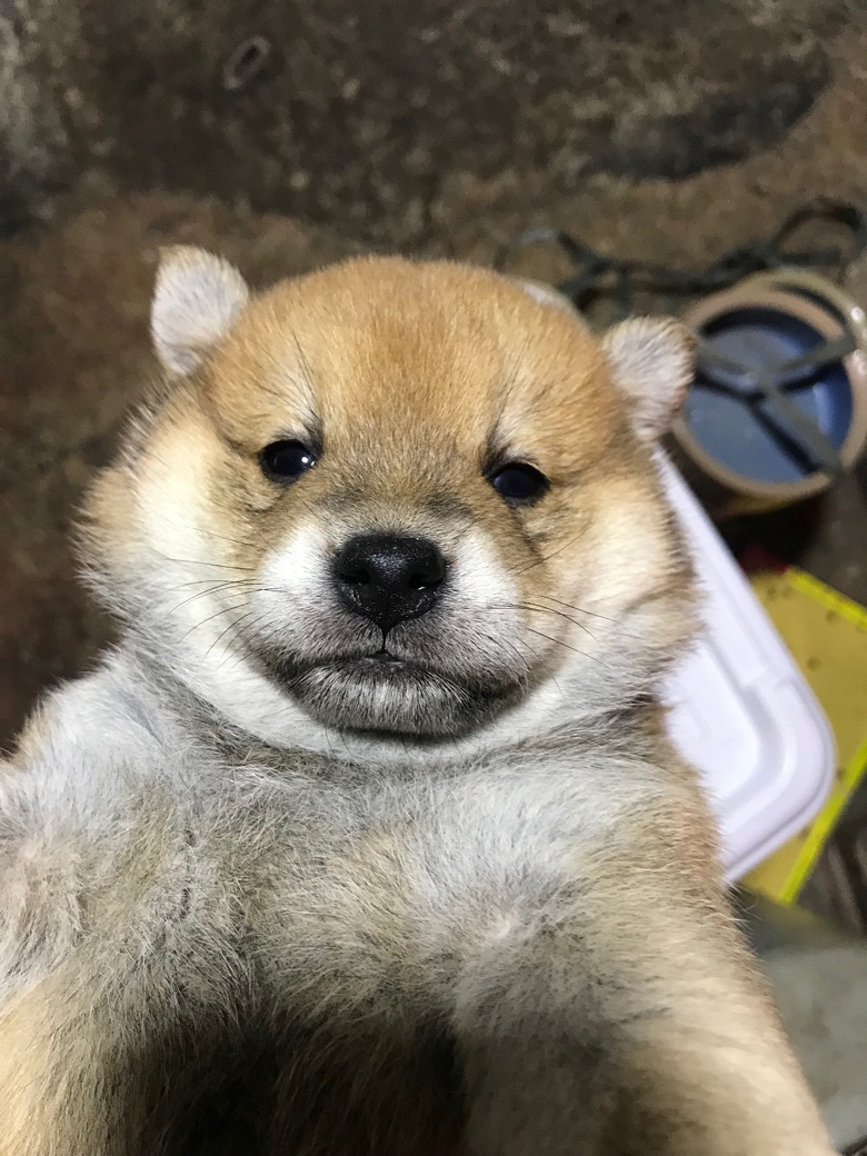 ������۾�Ʒ��Ȯ