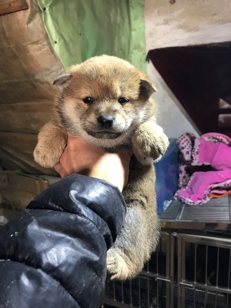 ������۾�Ʒ��Ȯ