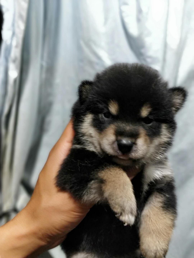 ������۾�Ʒ��Ȯ