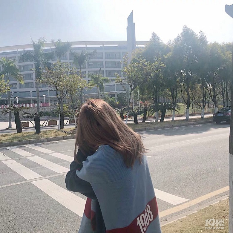 每一个单身的人都是别人的恋爱导师