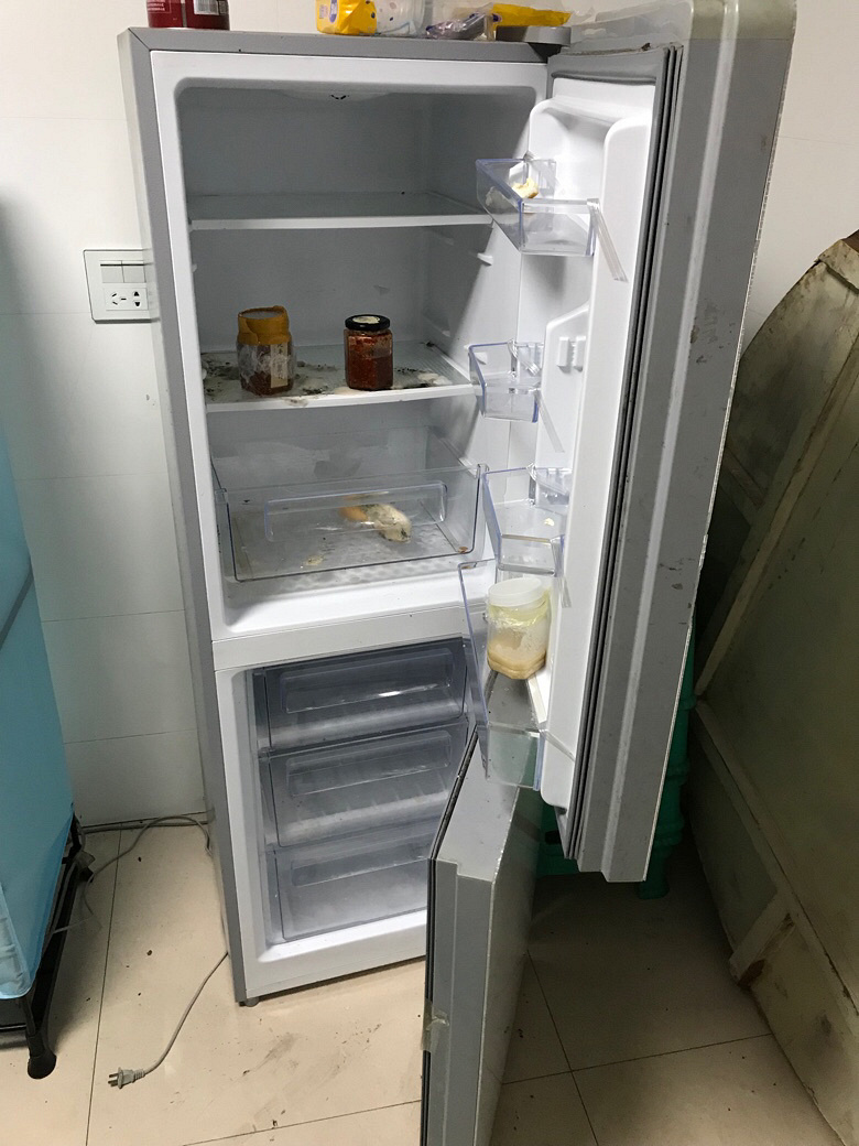 ����260�Լ����  ���������