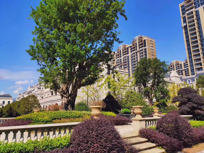 �׸��������ַ����ӣ��׸����򣬼���ס��С��������ȫ����ͨ��