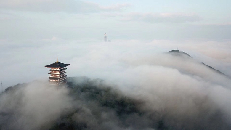 �񳿴�����Ľ�������