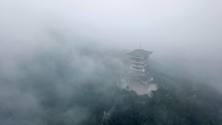 �񳿴�����Ľ�������