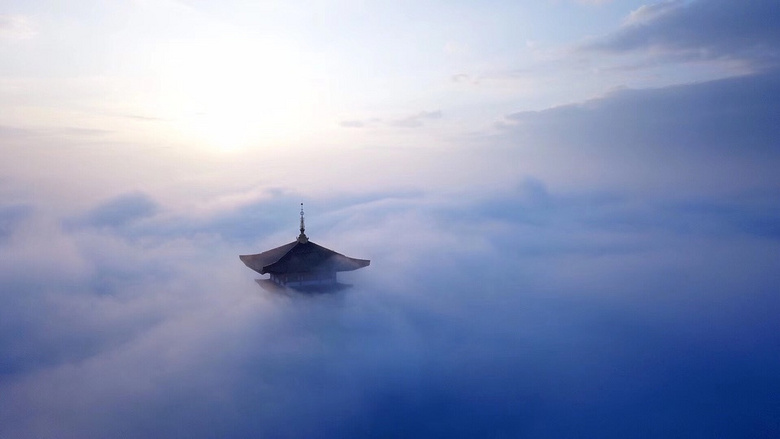 �񳿴�����Ľ�������