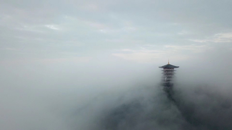 �񳿴�����Ľ�������