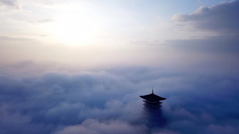 �񳿴�����Ľ�������