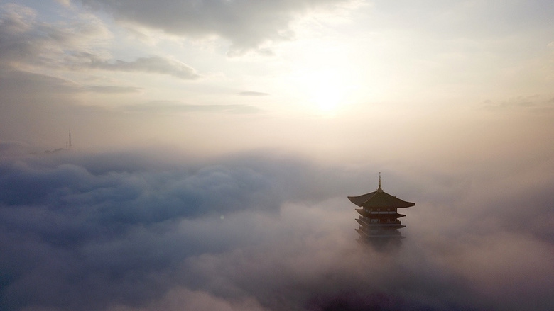 �񳿴�����Ľ�������