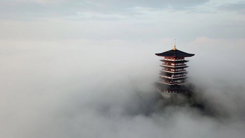 �񳿴�����Ľ�������