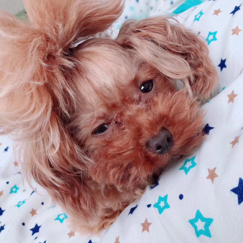 ���Ҽ�������Ů��