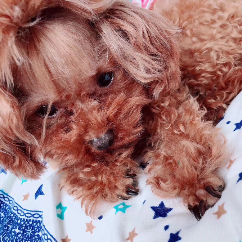 ���Ҽ�������Ů��