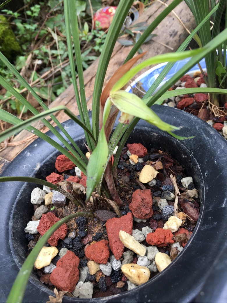 ��������̩��