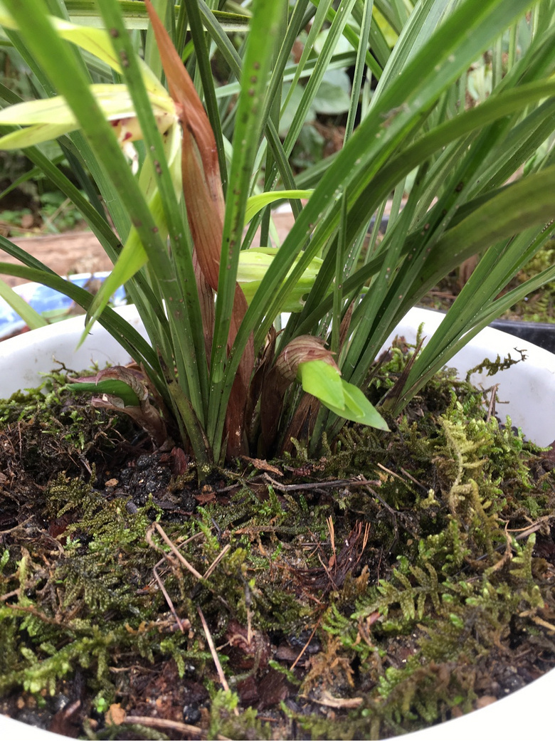 ��������̩��