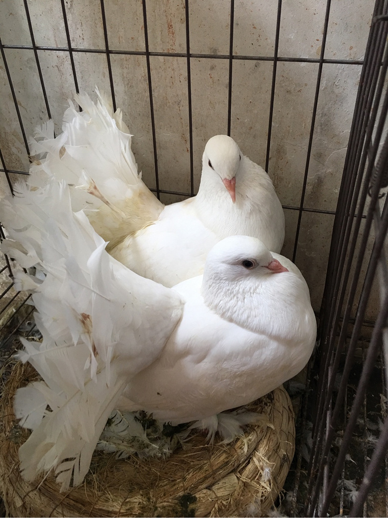 ��������̩��