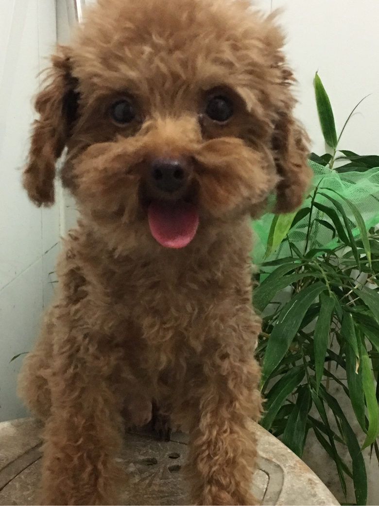 ��������̩��