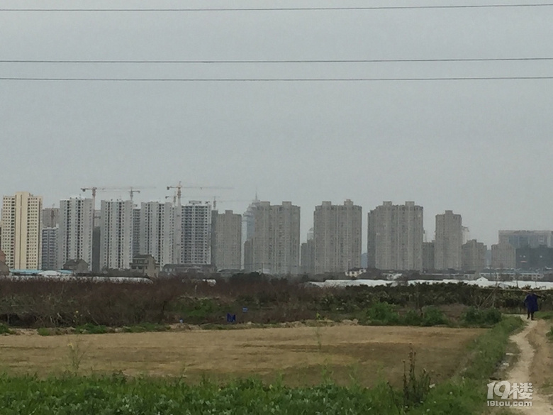 眼看它高楼大厦起