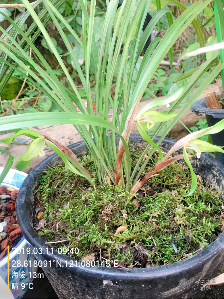 �������п��е���