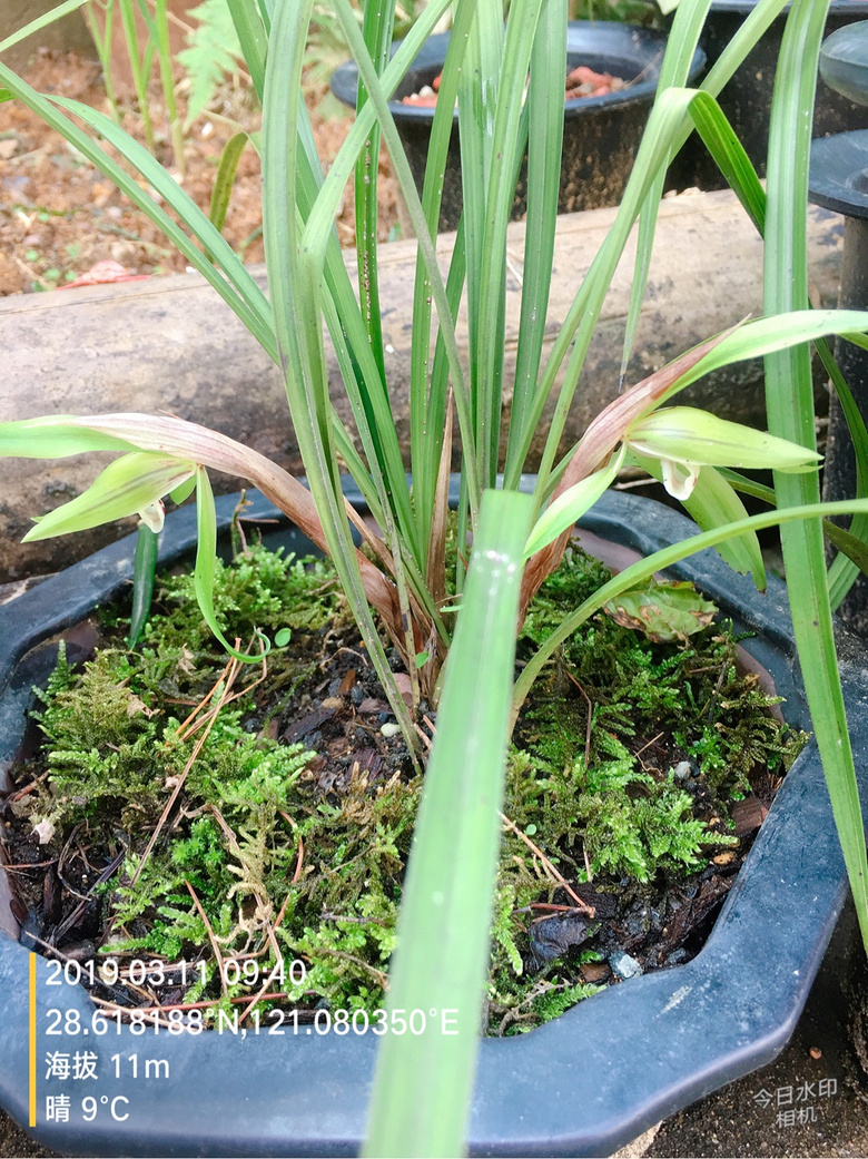 �������п��е���