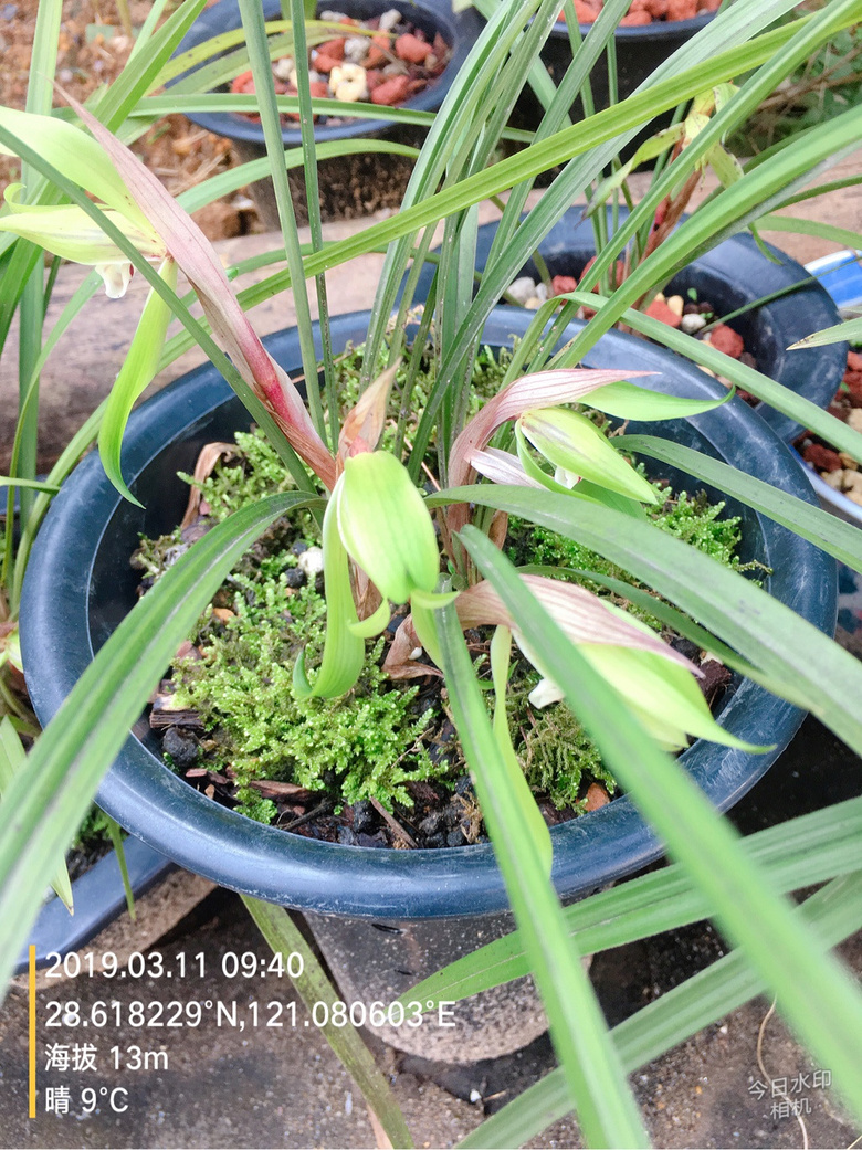 �������п��е���