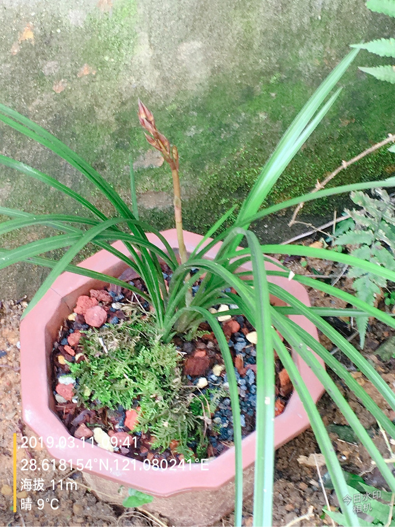 �������п��е���