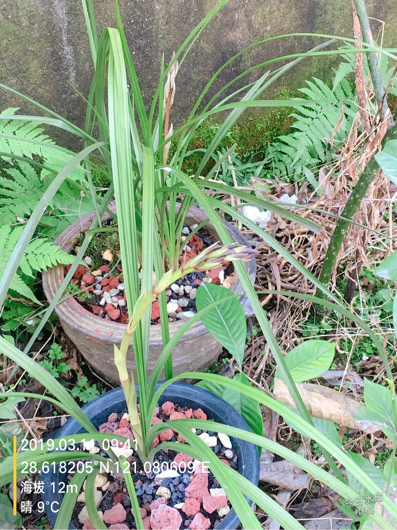 �������п��е���