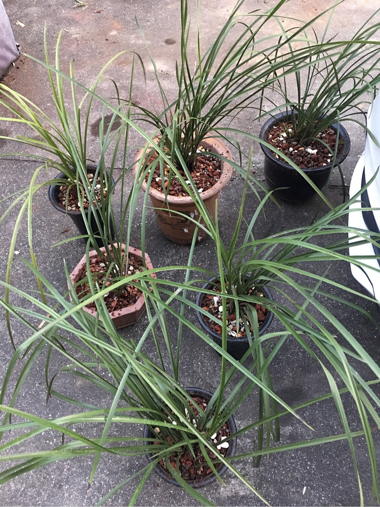 �������п��е���