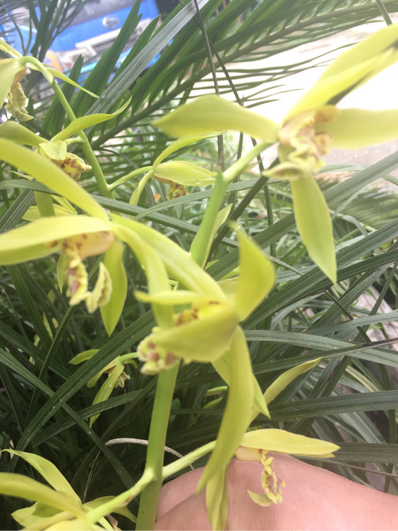 �������п��е���