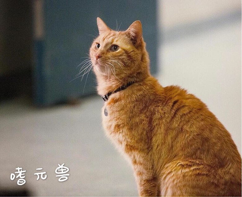 ����ӳ�����Ů�����ۡ���