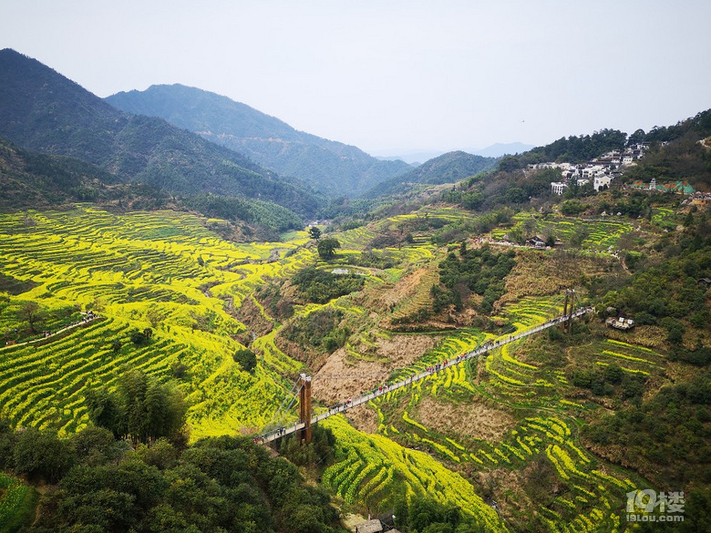 今年婺源篁岭人有点多