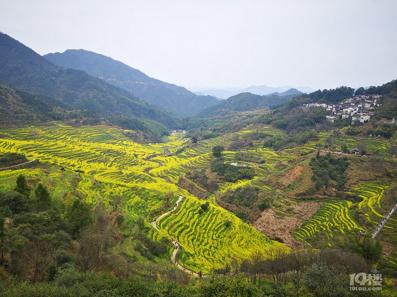今年婺源篁岭人有点多